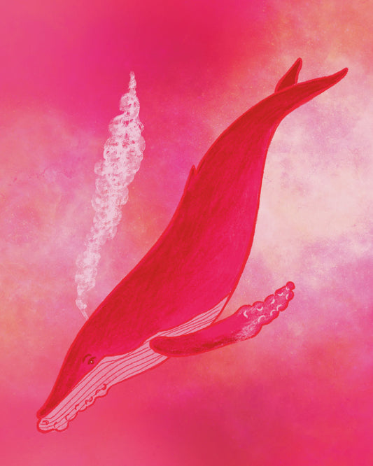 Humpback Whale Print